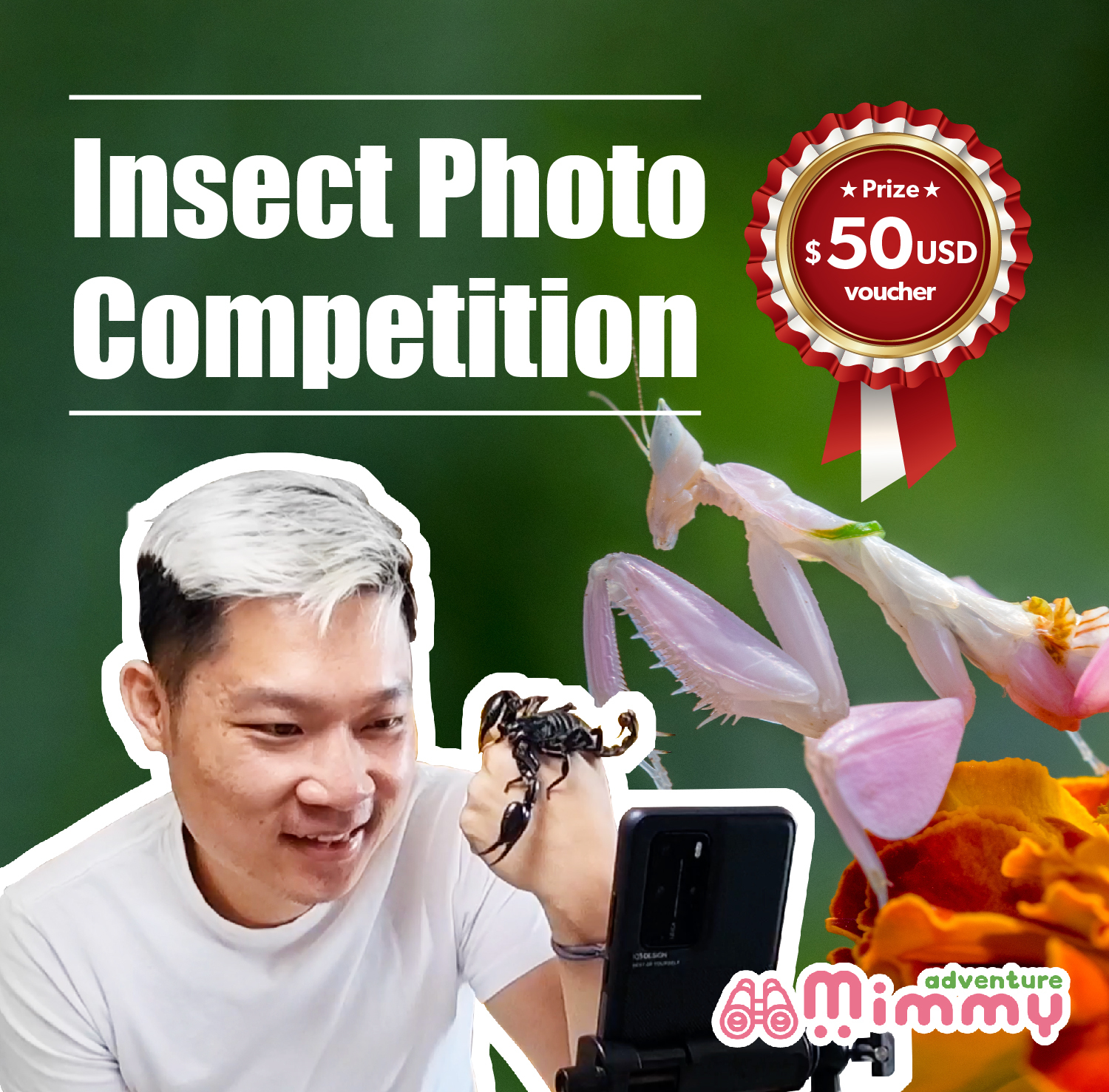 insect-photo-competition-by-mimmy-adventure