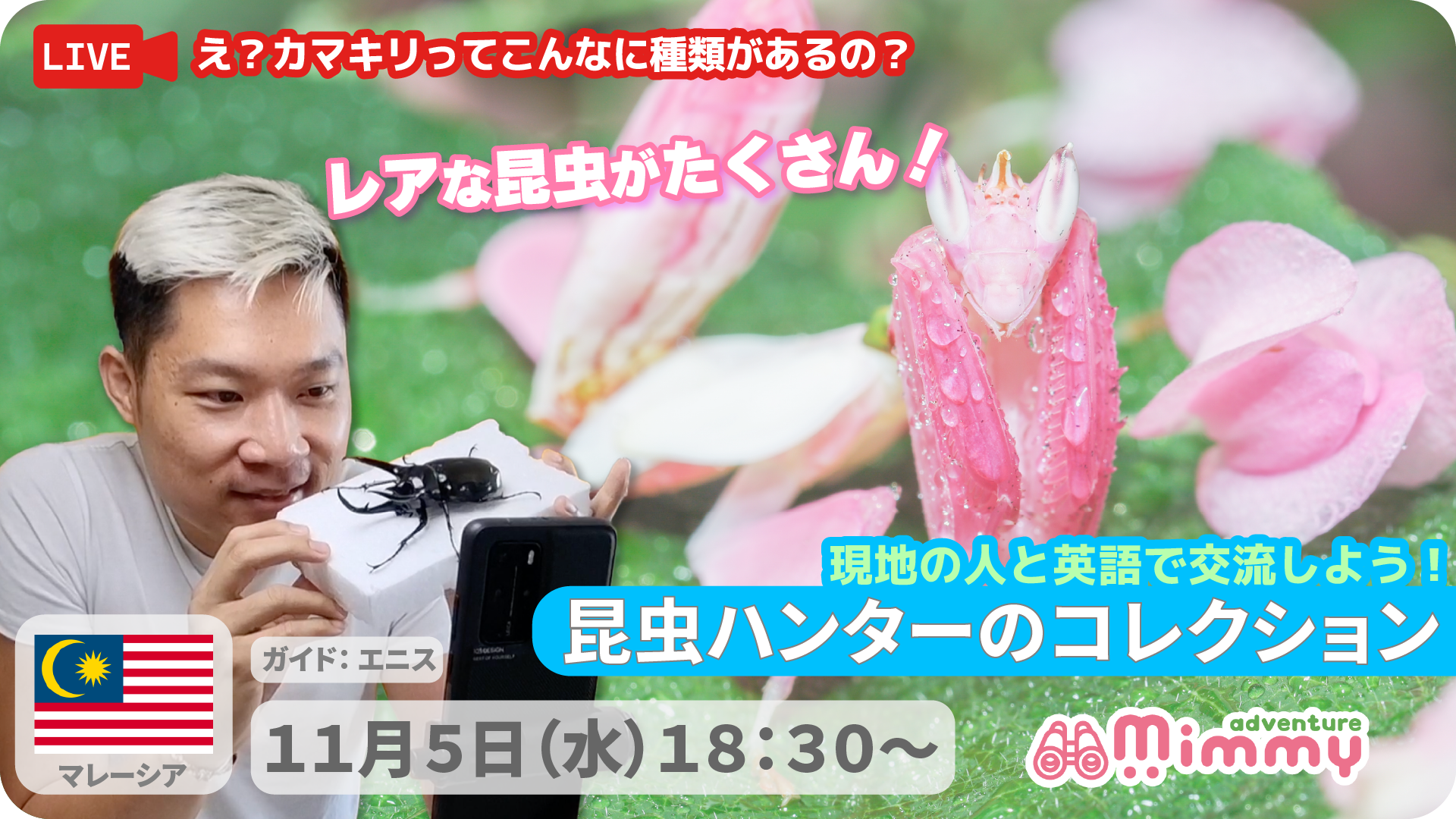 昆虫ハンター